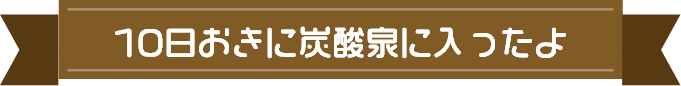 10日おきに炭酸泉に入ったよ